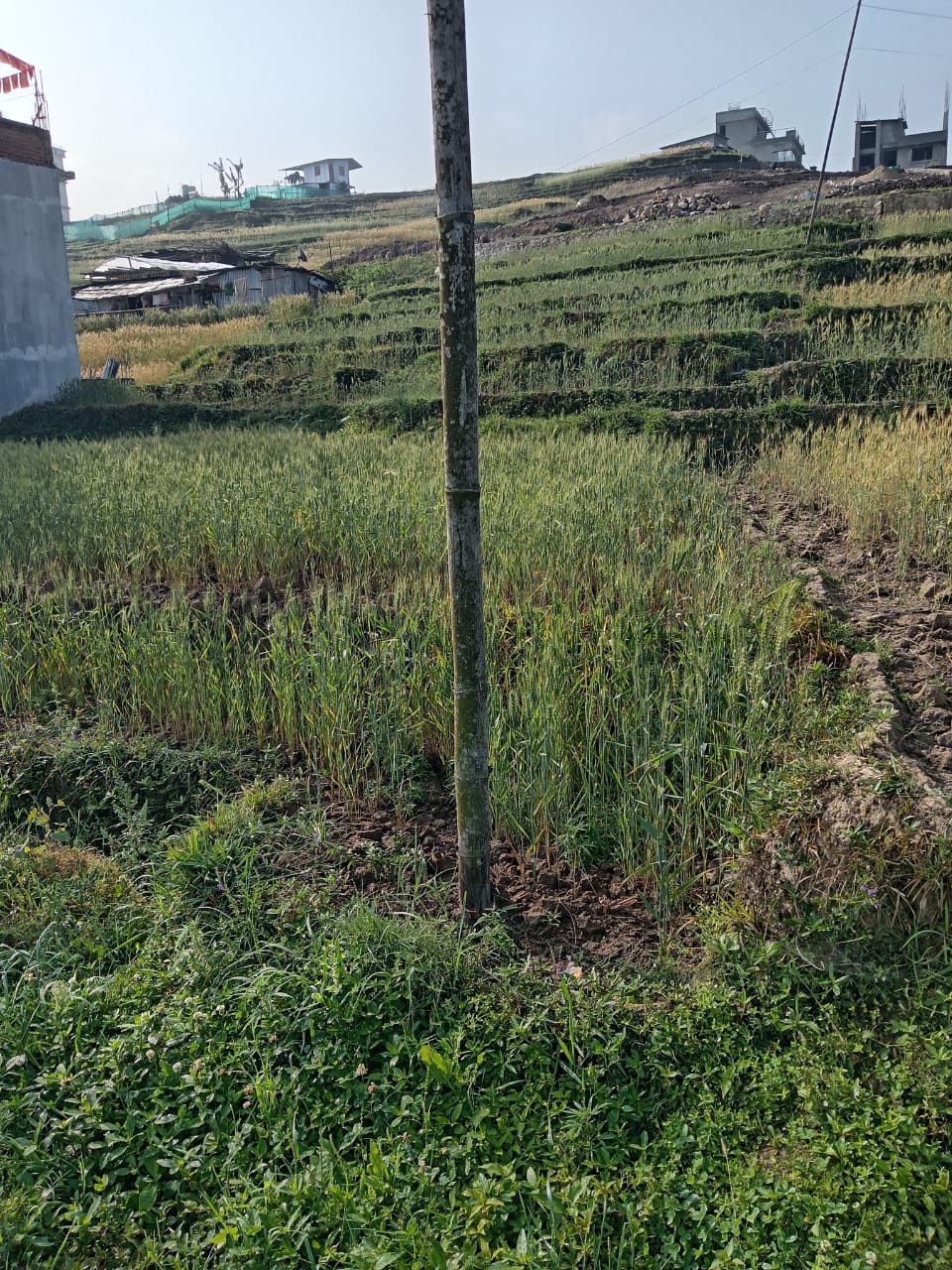 Picture of Godawari Municipality, Bagmati